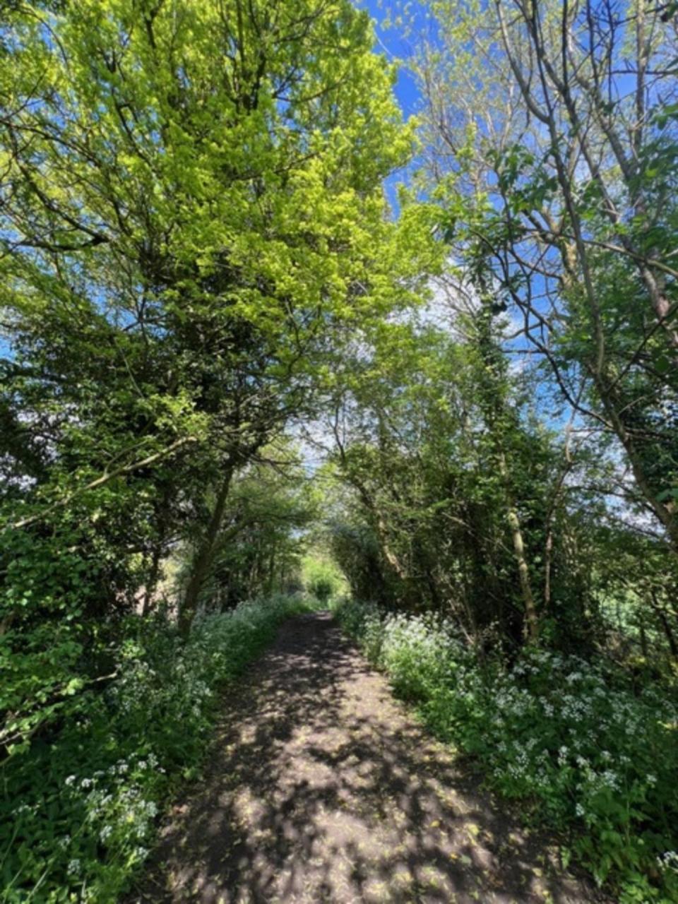 Idyllic Secluded Hideaway With Countryside Views On The Edge Of The Cotswolds Villa Hailey Екстериор снимка